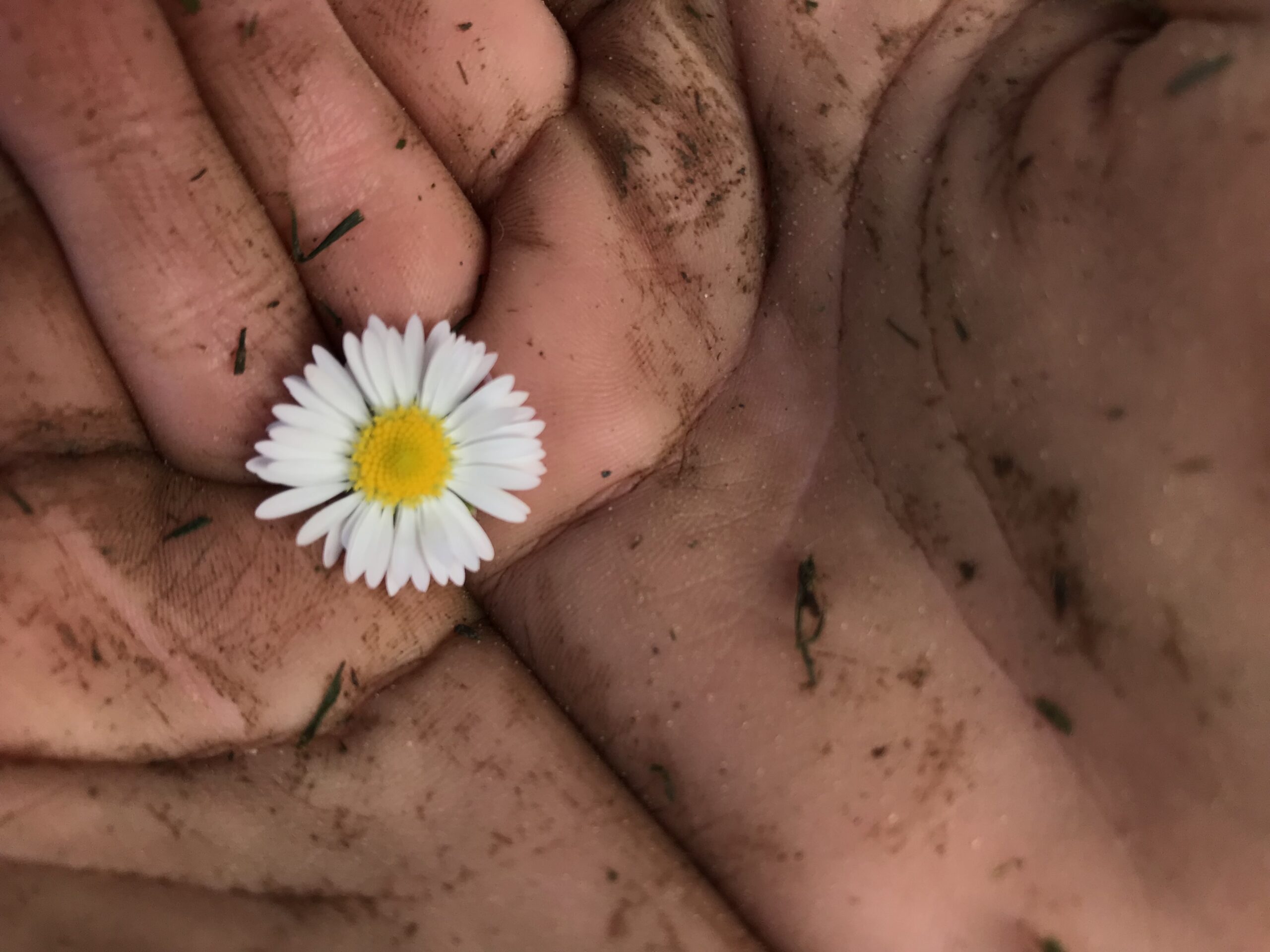 Trust– How Do We Actually Do It In Real Life?