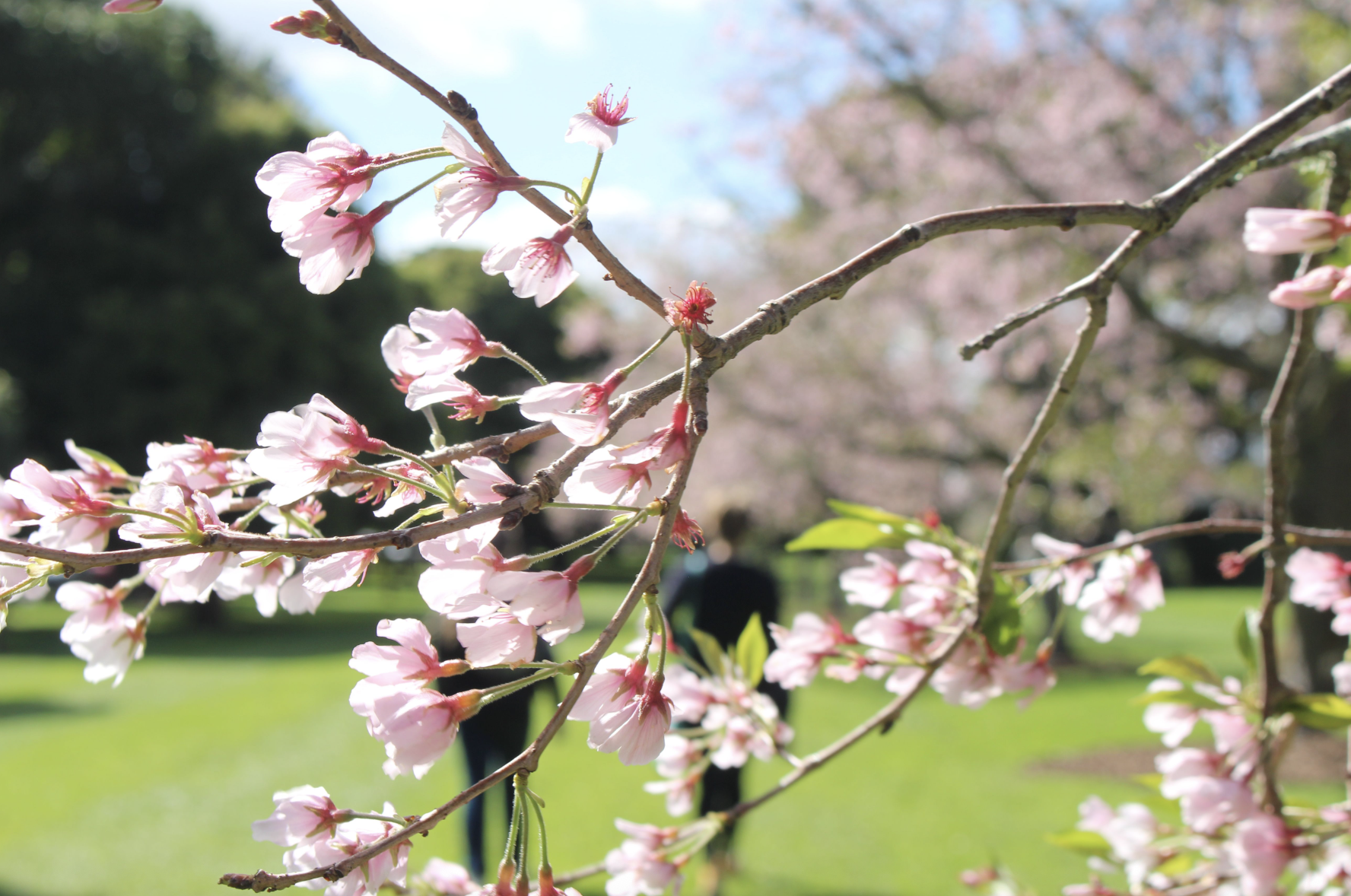 Why do people think that the Bible oppresses women? (Examining controversial verses in the New Testament)